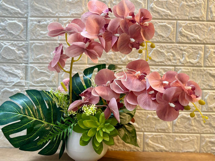 Orchid's Bliss