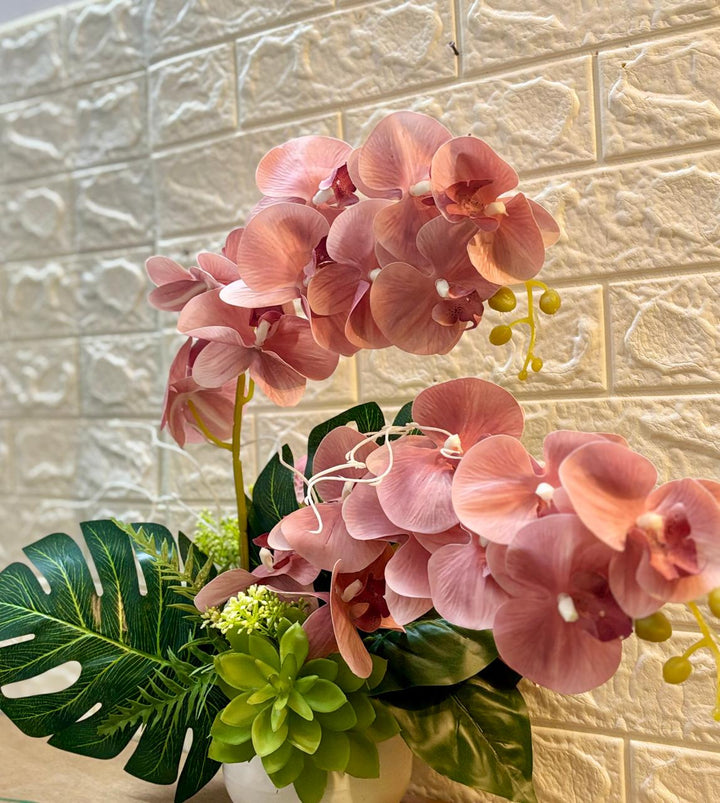 Orchid's Bliss