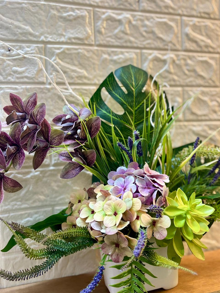 Orchid Symphony